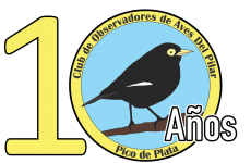 Visitar sitio del COA Pico de Plata