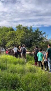 Un poco de lo que nos dejó el encuentro de plantas nativas y mariposas 🦋🌿 Gracias a todxs por acercarse a conocer y  compartir, hasta la próxima!